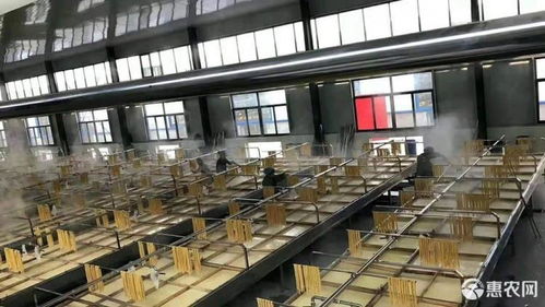 腐竹 廠價(jià)直銷(xiāo) 量大可訂做包裝規(guī)格許昌含鹽價(jià)格7.2元 斤 惠農(nóng)網(wǎng)