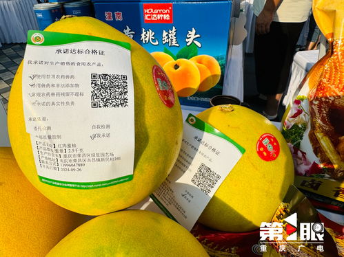 更好守護(hù) 舌尖上的安全 重慶市開(kāi)展食用農(nóng)產(chǎn)品承諾達(dá)標(biāo)合格證宣傳活動(dòng)