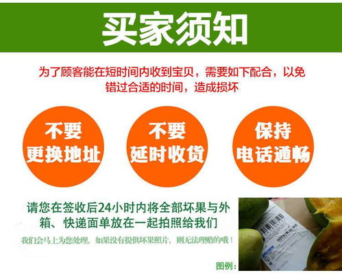 精選5斤甜菜根新鮮甜菜頭紅心蘿卜蔬菜農(nóng)產(chǎn)品紫菜頭紅甜菜紅根菜包郵