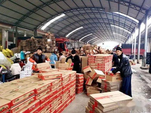 小小水果泡沫托，輕盈承載脫貧夢——探索初級農產品網絡銷售新路徑