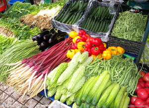 青島氣溫升高菜價持續回落，家禽供應平穩價格企穩