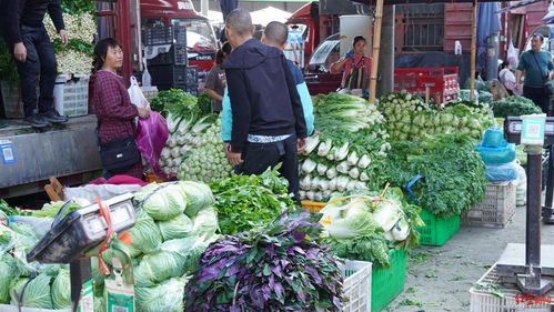 不打烊！成都全市益民菜市春節(jié)假期正常營業(yè)，網(wǎng)上銷售初級農(nóng)產(chǎn)品